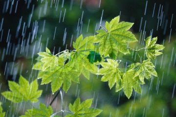 ۴ درصد کاهش بارندگی در کشور/ ۲۴۸.۸۵۲ میلیارد مترمکعب بارش از اول مهر تا پایان ۲۳ اسفند