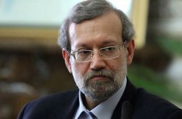 لاریجانی: کمیسیون‌های تخصصی مجلس برای حل مشکلات کشور با دولت تعامل داشته باشند