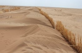 ضرورت تقویت پوشش گیاهی و ایجاد بادشکن برای کنترل ریزگردهای میقان