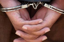 اعضای گروهک تروریستی در خراسان جنوبی دستگیر شدند