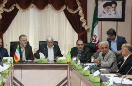 معاون وزیر کشاورزی :حمایت دولت از چایکاری ادامه دارد