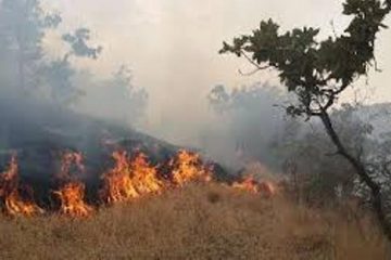 وسعت آتش سوزی در پارک ملی گلستان ۱۵۰ هکتار اعلام شد